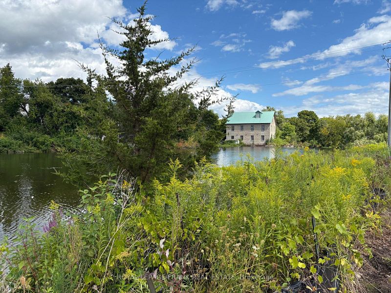 Mill Pond and the historic stone mill seen through the trees